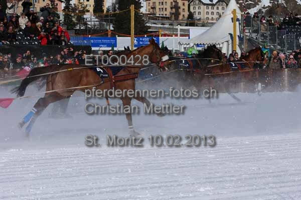 ET0Q0428 prot